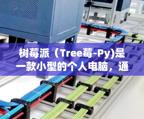 树莓派(Tree莓-Py)是一款小型的个人电脑,通常用于网络配置和游戏。以下是一些树莓派VPN服务器的配置步骤,假设你使用的是树莓派的IP地址来连接目标服务器 树莓派(Tree莓-Py)是一款小型的个人电脑,通常用于网络配置和游戏。以下是一些树莓派VPN服务器的配置步骤,假设你使用的是树莓派的IP地址来连接目标服务器