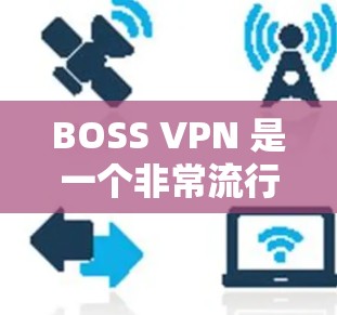 BOSS VPN 是一个非常流行的 VPN 软件，提供全面的网络访问解决方案。下面是关于 BOSS VPN 的一些关键信息