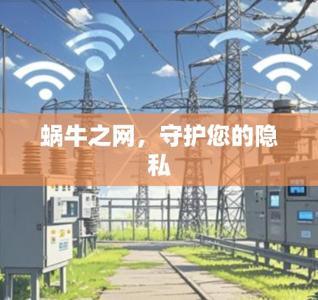 蜗牛之网,守护您的隐私 蜗牛之网,守护您的隐私