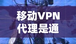 移动VPN代理是通过手机设备来管理移动VPN设置的软件，旨在简化用户对移动网络的访问控制。以下是对移动VPN代理的详细介绍