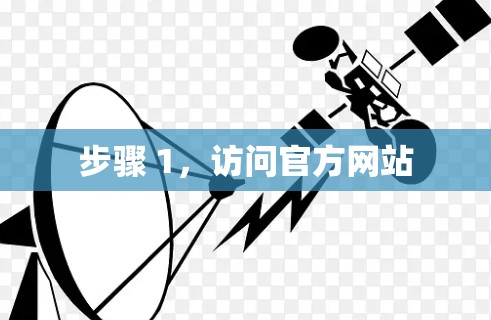 步骤 1，访问官方网站