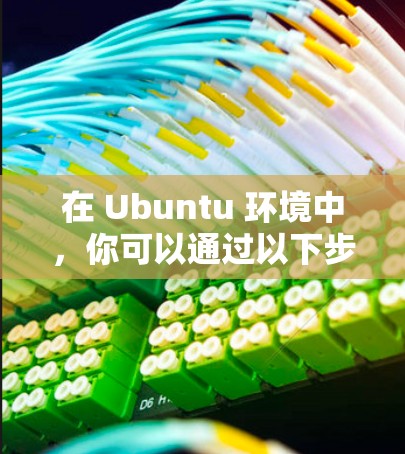在 Ubuntu 环境中，你可以通过以下步骤来连接VPN