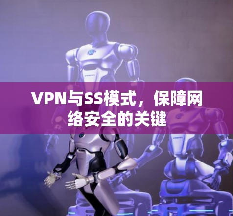 VPN与SS模式，保障网络安全的关键