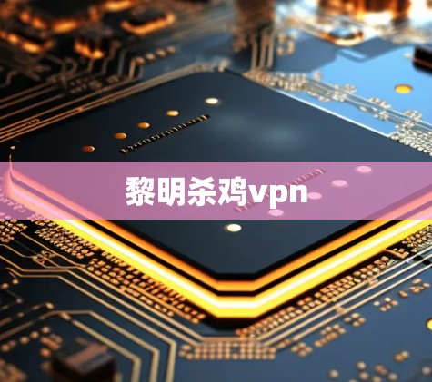 黎明杀鸡vpn