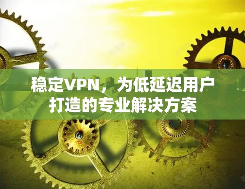 稳定VPN,为低延迟用户打造的专业解决方案 稳定VPN,为低延迟用户打造的专业解决方案