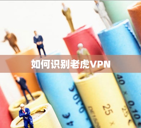 如何识别老虎VPN 如何识别老虎VPN
