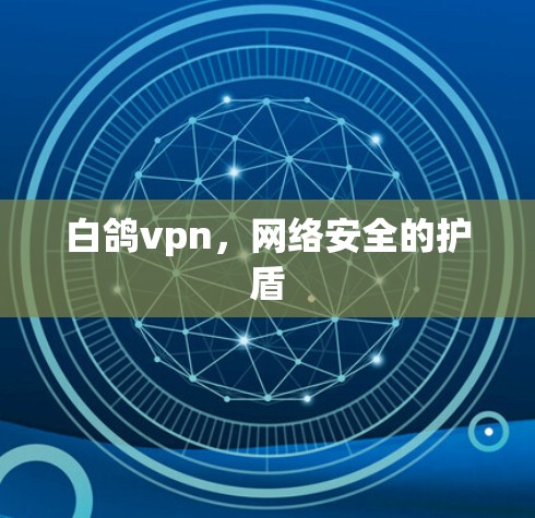 白鸽vpn,网络安全的护盾 白鸽vpn,网络安全的护盾