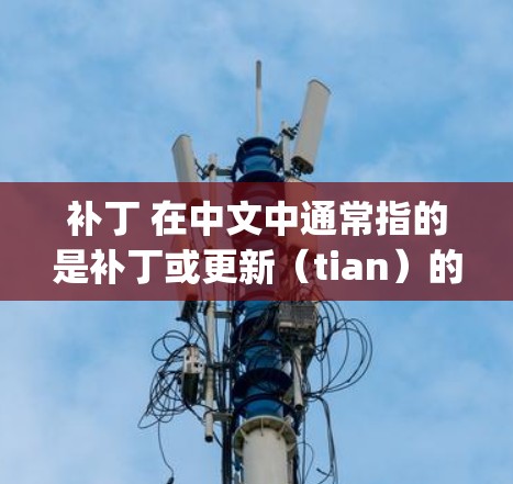 补丁 在中文中通常指的是补丁或更新(tian)的音译。在某些情况下,可能会有人误用这个词来指代补丁(update)或 patch(fix) 补丁 在中文中通常指的是补丁或更新(tian)的音译。在某些情况下,可能会有人误用这个词来指代补丁(update)或 patch(fix)