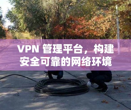 VPN 管理平台,构建安全可靠的网络环境 VPN 管理平台,构建安全可靠的网络环境