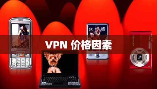 VPN 价格因素