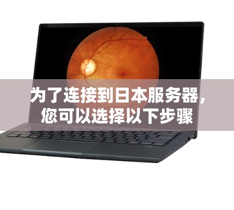 为了连接到日本服务器,您可以选择以下步骤 为了连接到日本服务器,您可以选择以下步骤