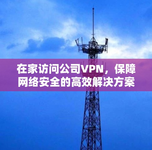在家访问公司VPN,保障网络安全的高效解决方案 在家访问公司VPN,保障网络安全的高效解决方案