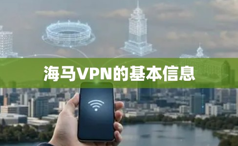 海马VPN的基本信息