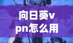 向日葵vpn怎么用?了解VPN配置与使用步骤 向日葵vpn怎么用?了解VPN配置与使用步骤