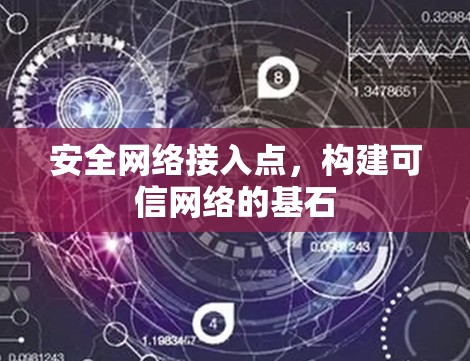 安全网络接入点,构建可信网络的基石 安全网络接入点,构建可信网络的基石