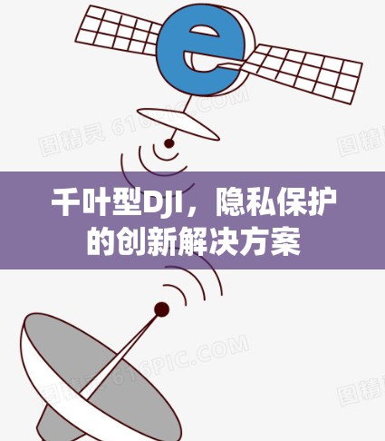 千叶型DJI,隐私保护的创新解决方案 千叶型DJI,隐私保护的创新解决方案