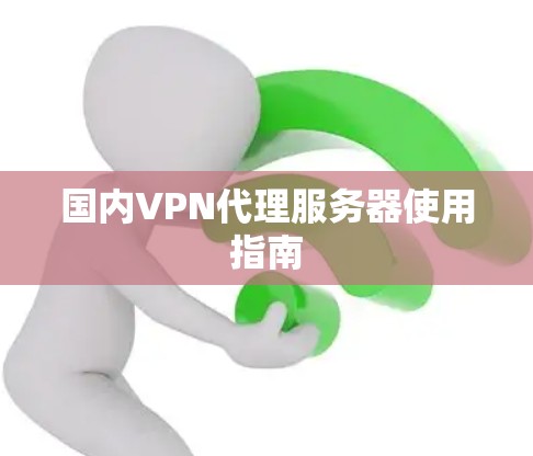 国内VPN代理服务器使用指南