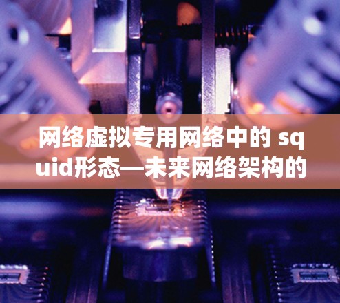 网络虚拟专用网络中的 squid形态—未来网络架构的新尝试 网络虚拟专用网络中的 squid形态—未来网络架构的新尝试