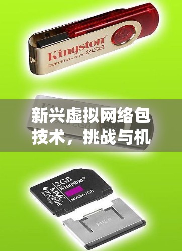 新兴虚拟网络包技术，挑战与机遇
