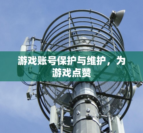 游戏账号保护与维护，为游戏点赞