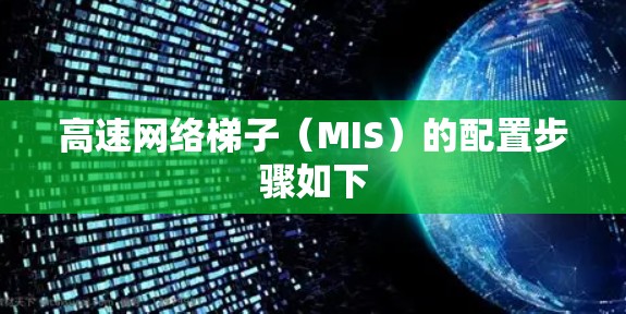 高速网络梯子(MIS)的配置步骤如下 高速网络梯子(MIS)的配置步骤如下