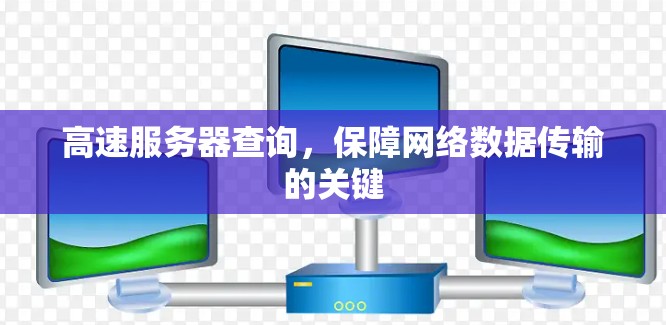 高速服务器查询,保障网络数据传输的关键 高速服务器查询,保障网络数据传输的关键