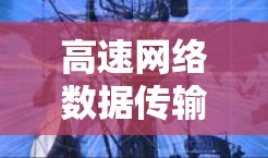 高速网络数据传输技术解析