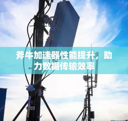 斧牛加速器性能提升，助力数据传输效率