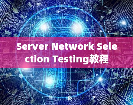 Server Network Selection Testing教程 Server Network Selection Testing教程