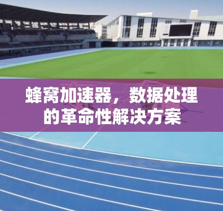 蜂窝加速器,数据处理的革命性解决方案 蜂窝加速器,数据处理的革命性解决方案