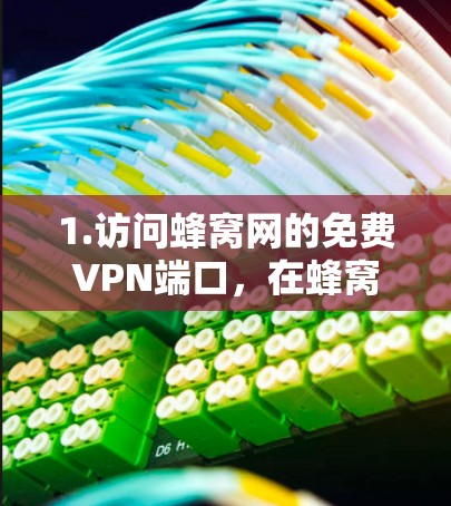 1.访问蜂窝网的免费VPN端口，在蜂窝网的官方网站上，您可以通过浏览器直接访问免费的VPN端口，如1.1.1.1 或者 192.168.1.1。这些端口通常有免费的访问权限