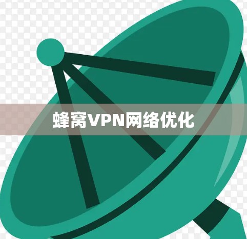 蜂窝VPN网络优化 蜂窝VPN网络优化