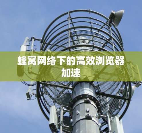 蜂窝网络下的高效浏览器加速