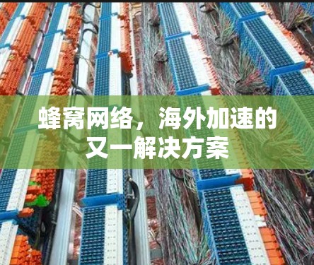 蜂窝网络，海外加速的又一解决方案