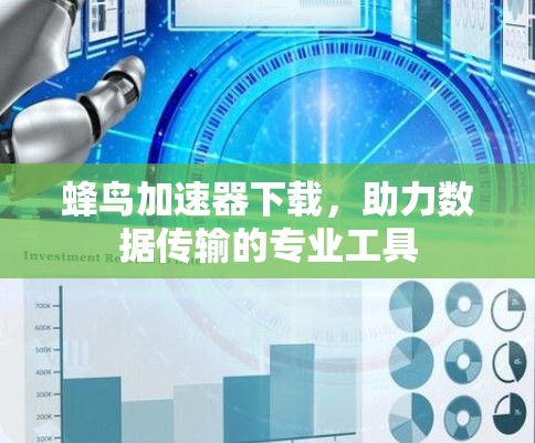 蜂鸟加速器下载，助力数据传输的专业工具