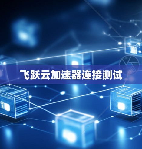 飞跃云加速器连接测试