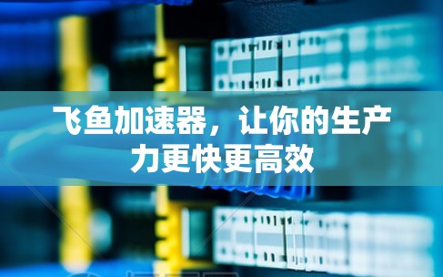 飞鱼加速器，让你的生产力更快更高效