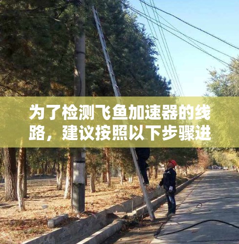 为了检测飞鱼加速器的线路，建议按照以下步骤进行操作