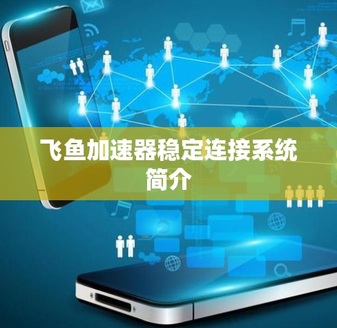 飞鱼加速器稳定连接系统简介 飞鱼加速器稳定连接系统简介