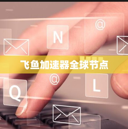 飞鱼加速器全球节点 飞鱼加速器全球节点
