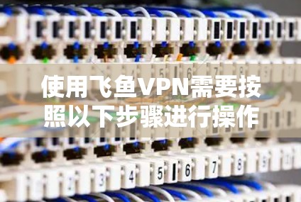使用飞鱼VPN需要按照以下步骤进行操作,确保安全且高效 使用飞鱼VPN需要按照以下步骤进行操作,确保安全且高效