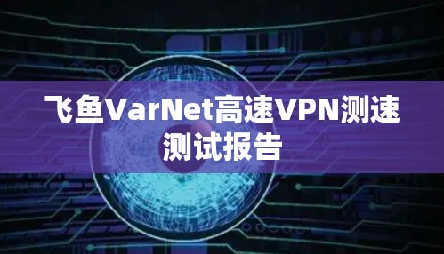 飞鱼VarNet高速VPN测速测试报告