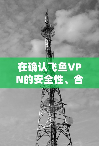 在确认飞鱼VPN的安全性、合法性和操作流程后，按照以下步骤下载并使用