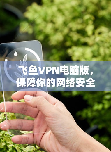 飞鱼VPN电脑版,保障你的网络安全,选择一个值得信赖的解决方案 飞鱼VPN电脑版,保障你的网络安全,选择一个值得信赖的解决方案