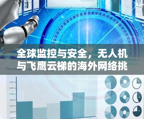 全球监控与安全，无人机与飞鹰云梯的海外网络挑战与解决方案