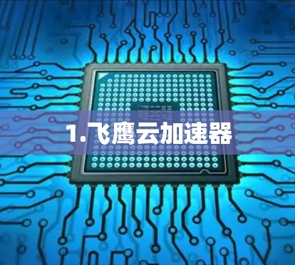 1.飞鹰云加速器