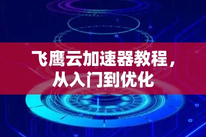 飞鹰云加速器教程,从入门到优化 飞鹰云加速器教程,从入门到优化