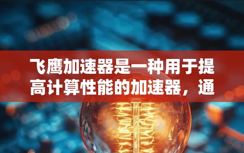飞鹰加速器是一种用于提高计算性能的加速器，通常在服务器或云计算环境中使用。它通过优化带宽、减少延迟、提升网络可靠性等方式，帮助用户在超时或资源限制下运行更高效的计算任务
