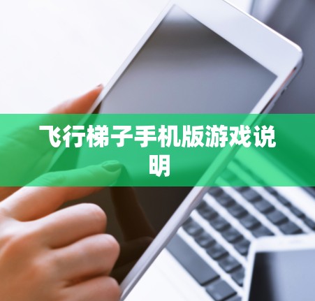 飞行梯子手机版游戏说明 飞行梯子手机版游戏说明