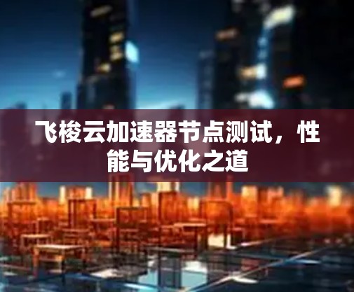 飞梭云加速器节点测试,性能与优化之道 飞梭云加速器节点测试,性能与优化之道